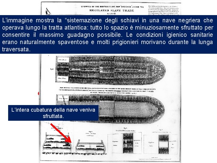 L’immagine mostra la “sistemazione degli schiavi in una nave negriera che operava lungo la