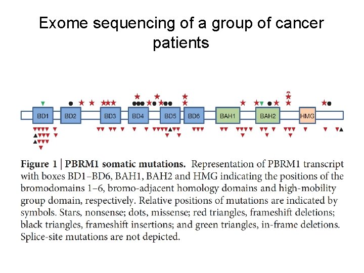 Exome sequencing of a group of cancer patients 