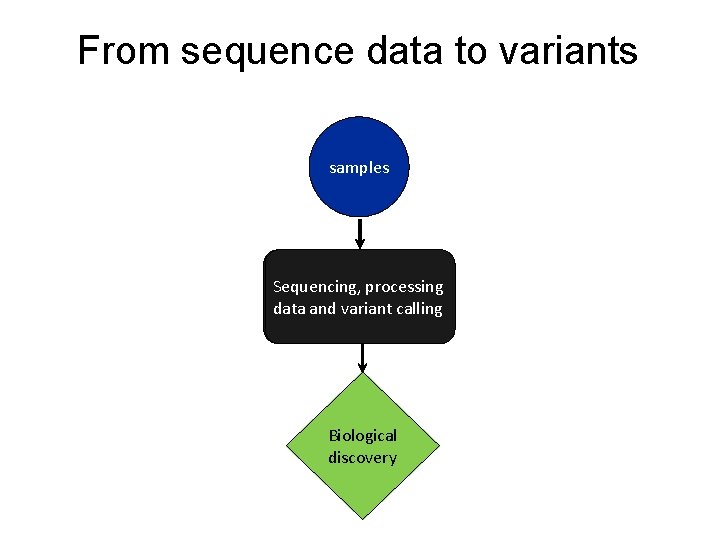 From sequence data to variants samples Sequencing, processing data and variant calling Biological discovery