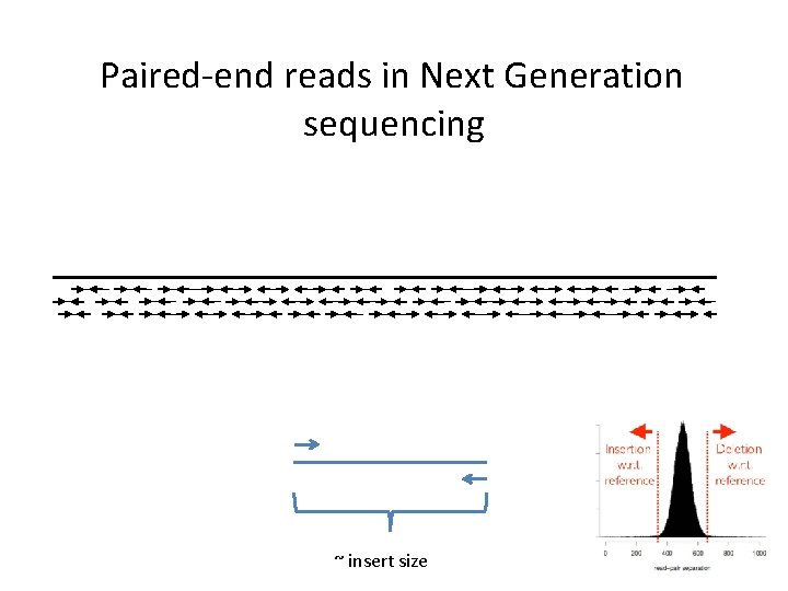 Paired-end reads in Next Generation sequencing ~ insert size 