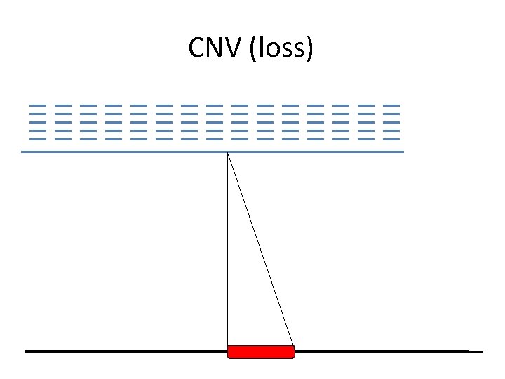 CNV (loss) 