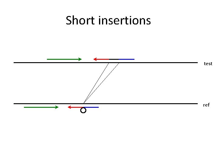 Short insertions test ref 