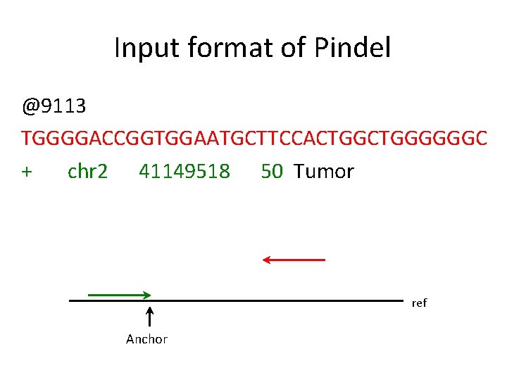 Input format of Pindel @9113 TGGGGACCGGTGGAATGCTTCCACTGGGGGGC + chr 2 41149518 50 Tumor ref Anchor