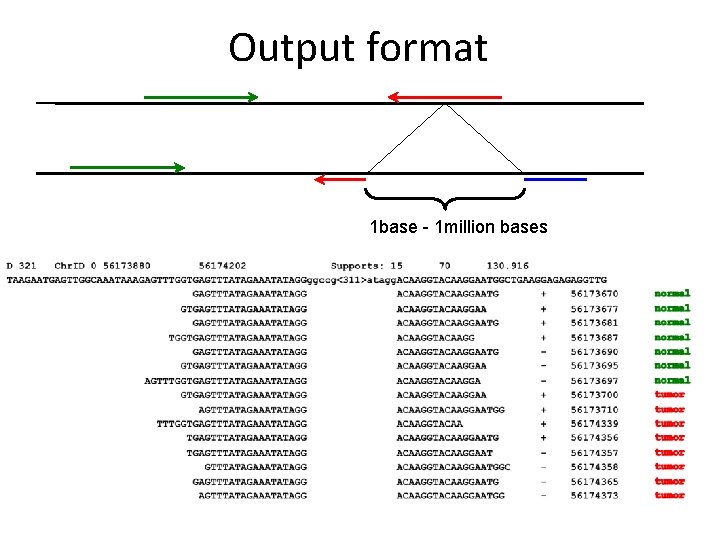 Output format 1 base - 1 million bases 