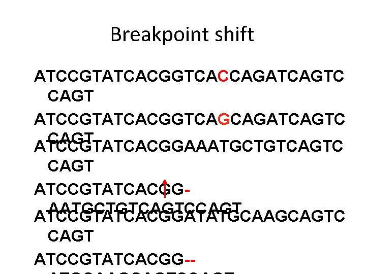 Breakpoint shift ATCCGTATCACGGTCACCAGATCAGTC CAGT ATCCGTATCACGGTCAGCAGATCAGTC CAGT ATCCGTATCACGGAAATGCTGTCAGTC CAGT ATCCGTATCACGGAATGCTGTCAGTCCAGT ATCCGTATCACGGATATGCAAGCAGTC CAGT ATCCGTATCACGG-- 