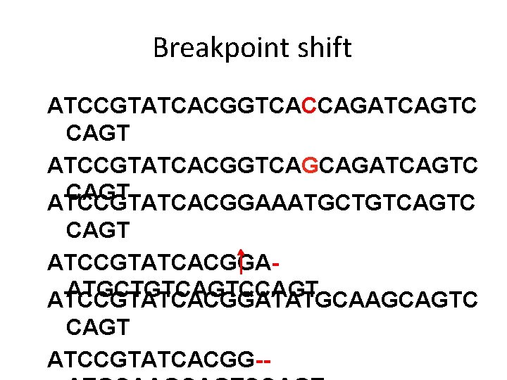 Breakpoint shift ATCCGTATCACGGTCACCAGATCAGTC CAGT ATCCGTATCACGGTCAGCAGATCAGTC CAGT ATCCGTATCACGGAAATGCTGTCAGTC CAGT ATCCGTATCACGGAATGCTGTCAGTCCAGT ATCCGTATCACGGATATGCAAGCAGTC CAGT ATCCGTATCACGG-- 