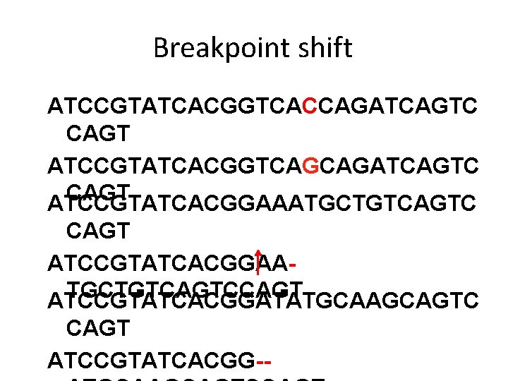 Breakpoint shift ATCCGTATCACGGTCACCAGATCAGTC CAGT ATCCGTATCACGGTCAGCAGATCAGTC CAGT ATCCGTATCACGGAAATGCTGTCAGTC CAGT ATCCGTATCACGGAATGCTGTCAGTCCAGT ATCCGTATCACGGATATGCAAGCAGTC CAGT ATCCGTATCACGG-- 