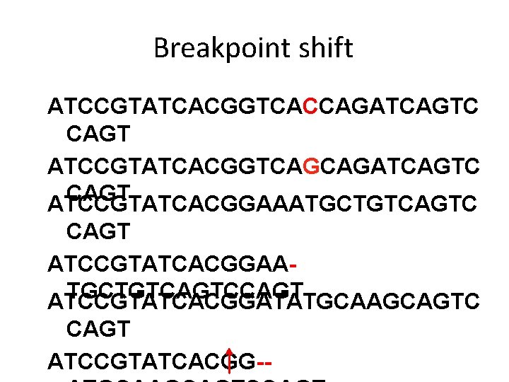 Breakpoint shift ATCCGTATCACGGTCACCAGATCAGTC CAGT ATCCGTATCACGGTCAGCAGATCAGTC CAGT ATCCGTATCACGGAAATGCTGTCAGTC CAGT ATCCGTATCACGGAATGCTGTCAGTCCAGT ATCCGTATCACGGATATGCAAGCAGTC CAGT ATCCGTATCACGG-- 