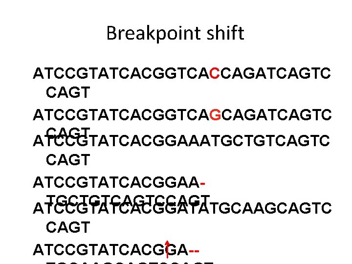 Breakpoint shift ATCCGTATCACGGTCACCAGATCAGTC CAGT ATCCGTATCACGGTCAGCAGATCAGTC CAGT ATCCGTATCACGGAAATGCTGTCAGTC CAGT ATCCGTATCACGGAATGCTGTCAGTCCAGT ATCCGTATCACGGATATGCAAGCAGTC CAGT ATCCGTATCACGGA-- 