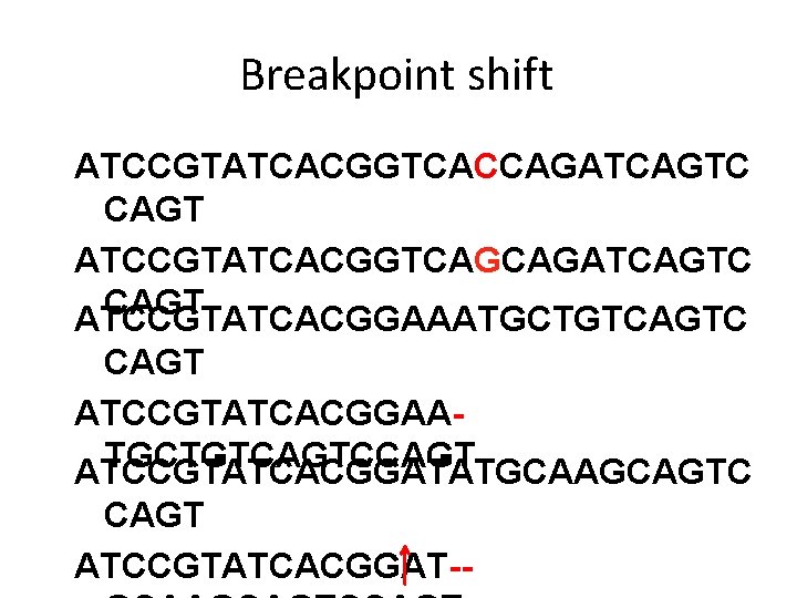 Breakpoint shift ATCCGTATCACGGTCACCAGATCAGTC CAGT ATCCGTATCACGGTCAGCAGATCAGTC CAGT ATCCGTATCACGGAAATGCTGTCAGTC CAGT ATCCGTATCACGGAATGCTGTCAGTCCAGT ATCCGTATCACGGATATGCAAGCAGTC CAGT ATCCGTATCACGGAT-- 