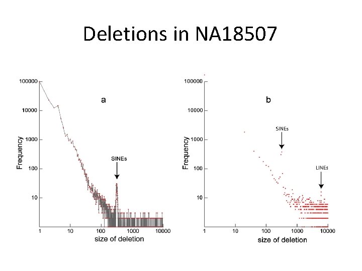Deletions in NA 18507 