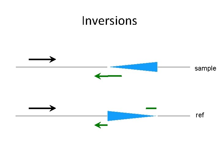 Inversions sample ref 