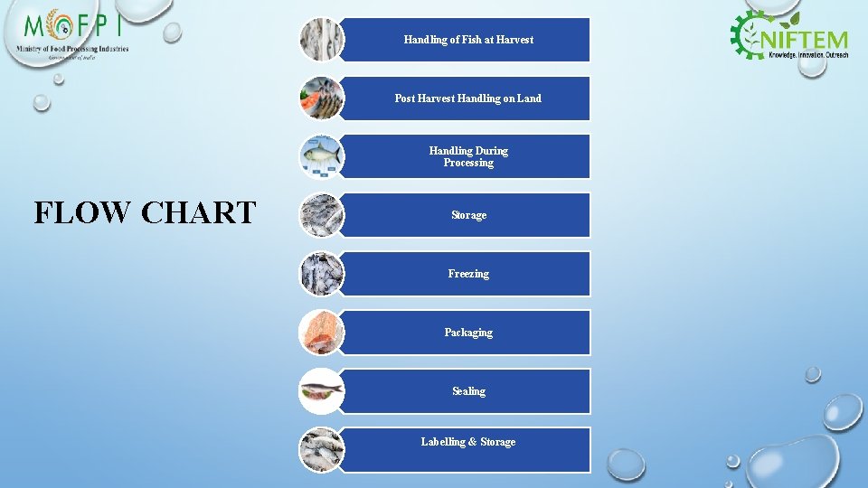 Handling of Fish at Harvest Post Harvest Handling on Land Handling During Processing FLOW