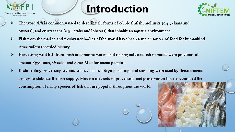 Introduction Ø The word fish is commonly used to describe all forms of edible