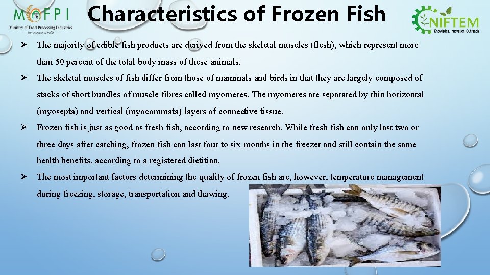 Characteristics of Frozen Fish Ø The majority of edible fish products are derived from
