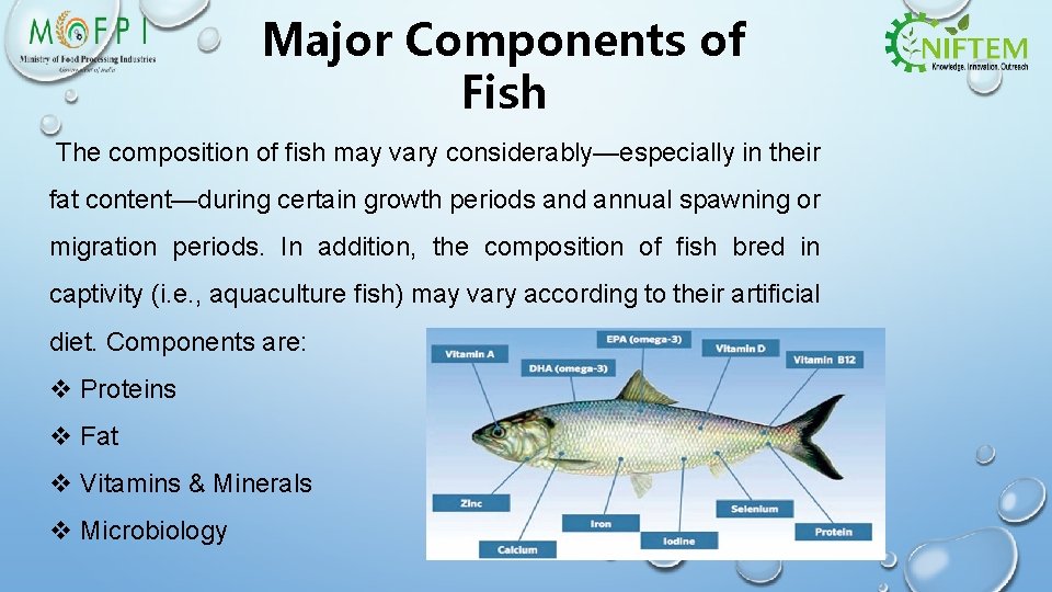 Major Components of Fish The composition of fish may vary considerably—especially in their fat