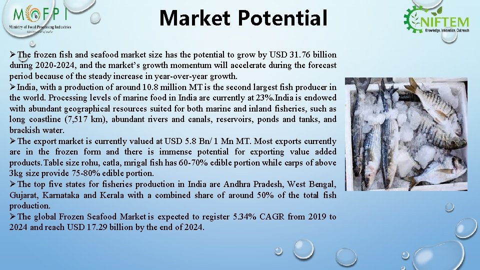 Market Potential ØThe frozen fish and seafood market size has the potential to grow