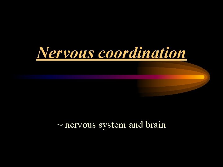 Nervous coordination ~ nervous system and brain 