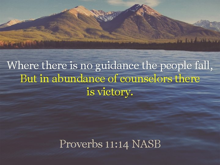 Where there is no guidance the people fall, But in abundance of counselors there