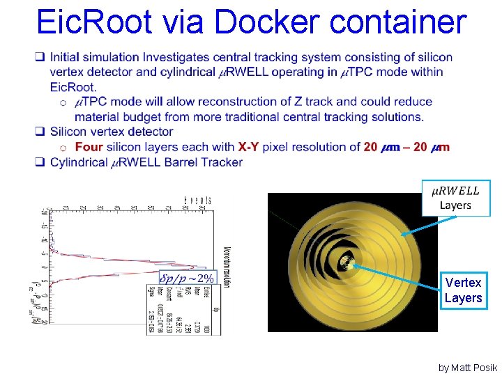 Eic. Root via Docker container Momentum resolution Vertex Layers Calorimeters by Matt Posik 