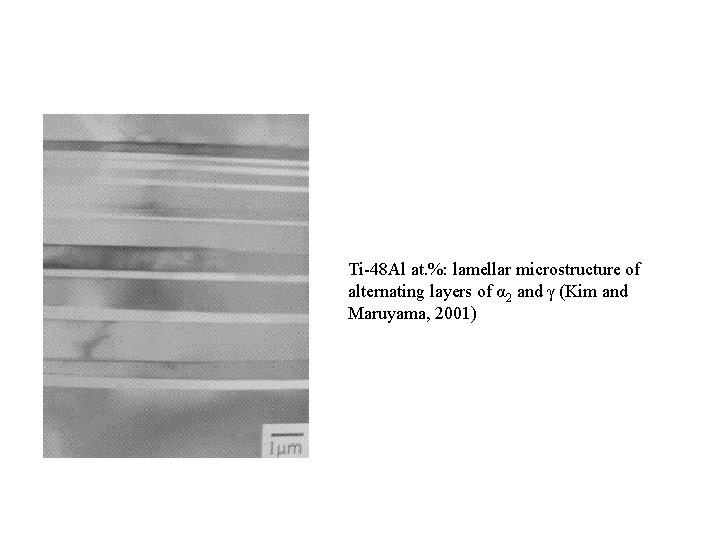Ti-48 Al at. %: lamellar microstructure of alternating layers of α 2 and γ