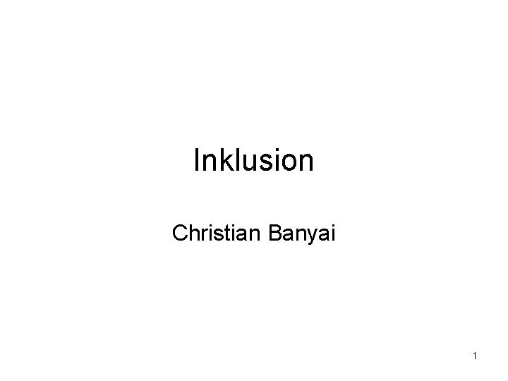 Inklusion Christian Banyai 1 