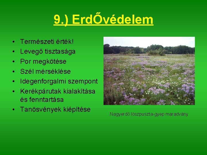 9. ) ErdŐvédelem • • • Természeti érték! Levegő tisztasága Por megkötése Szél mérséklése