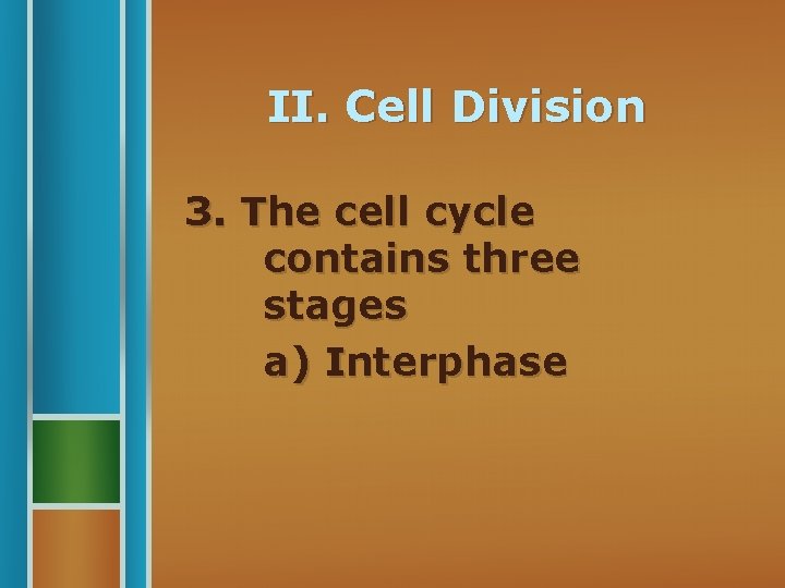 II. Cell Division 3. The cell cycle contains three stages a) Interphase 
