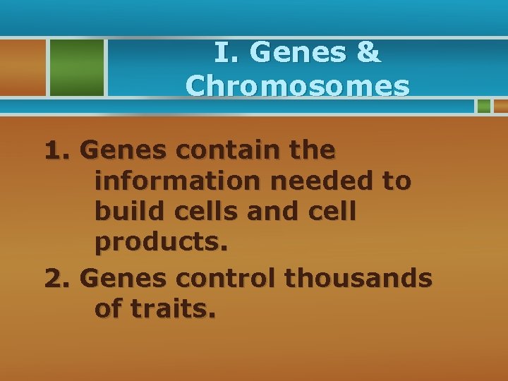 I. Genes & Chromosomes 1. Genes contain the information needed to build cells and