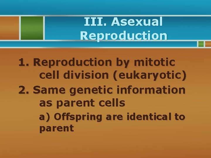 III. Asexual Reproduction 1. Reproduction by mitotic cell division (eukaryotic) 2. Same genetic information