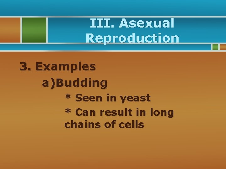III. Asexual Reproduction 3. Examples a)Budding * Seen in yeast * Can result in
