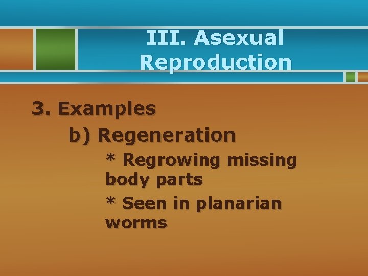 III. Asexual Reproduction 3. Examples b) Regeneration * Regrowing missing body parts * Seen