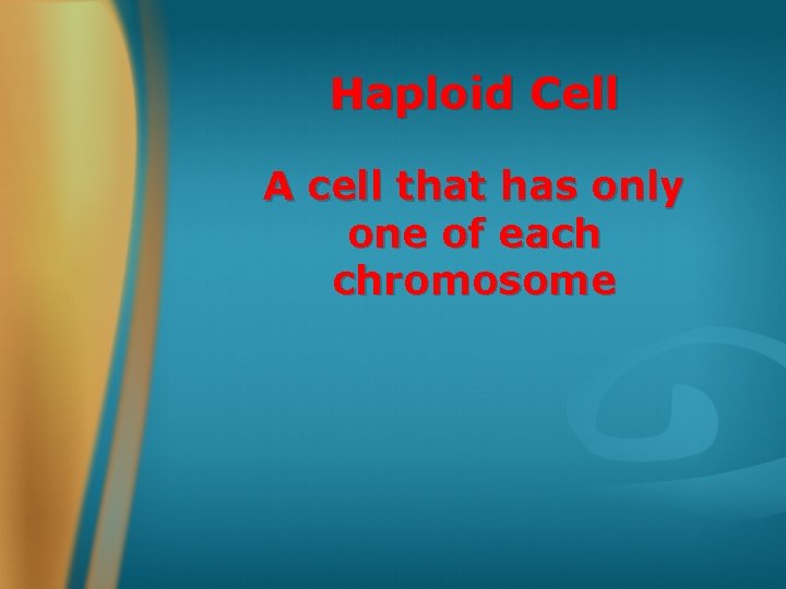 Haploid Cell A cell that has only one of each chromosome 