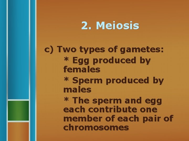 2. Meiosis c) Two types of gametes: * Egg produced by females * Sperm