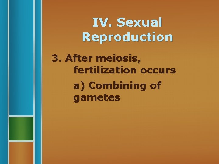 IV. Sexual Reproduction 3. After meiosis, fertilization occurs a) Combining of gametes 