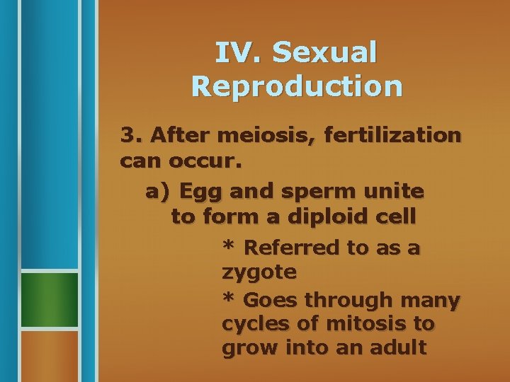 IV. Sexual Reproduction 3. After meiosis, fertilization can occur. a) Egg and sperm unite