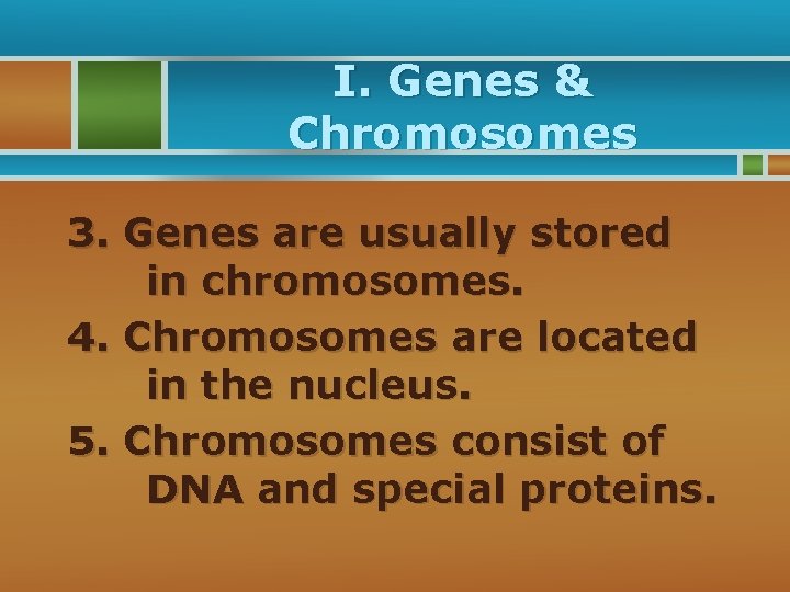 I. Genes & Chromosomes 3. Genes are usually stored in chromosomes. 4. Chromosomes are