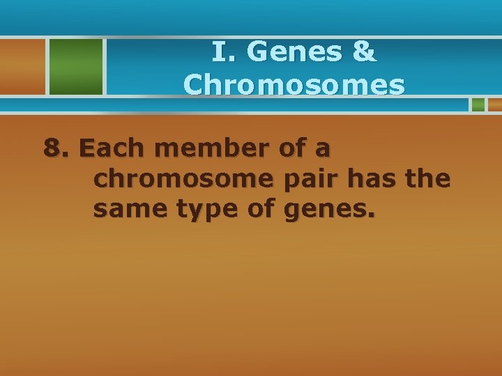 I. Genes & Chromosomes 8. Each member of a chromosome pair has the same