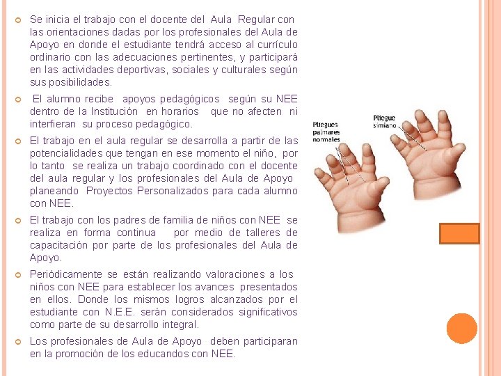 Se inicia el trabajo con el docente del Aula Regular con las orientaciones Se inicia el trabajo con el docente del Aula Regular con las orientaciones