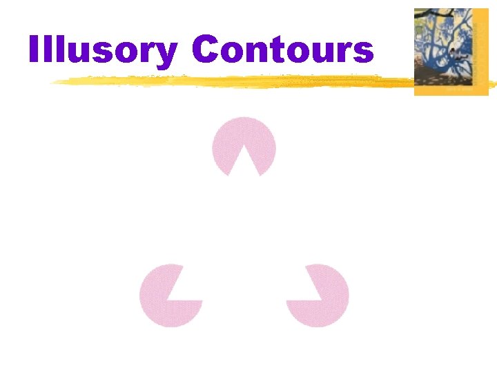 Illusory Contours 