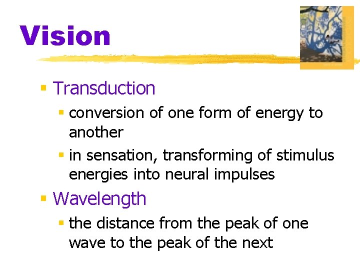 Vision § Transduction § conversion of one form of energy to another § in