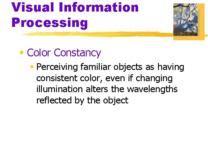 Visual Information Processing § Color Constancy § Perceiving familiar objects as having consistent color,