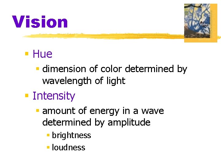 Vision § Hue § dimension of color determined by wavelength of light § Intensity