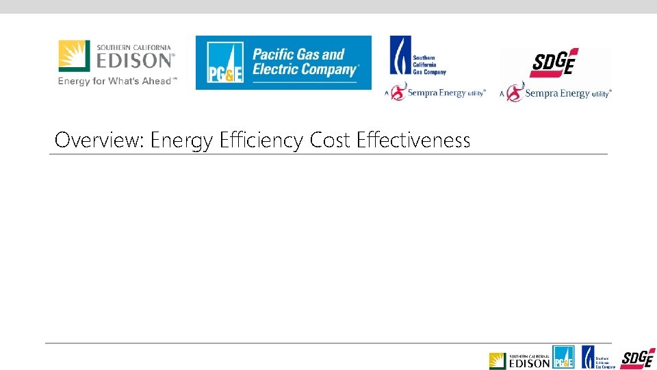 Overview: Energy Efficiency Cost Effectiveness 