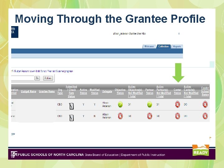 Moving Through the Grantee Profile 