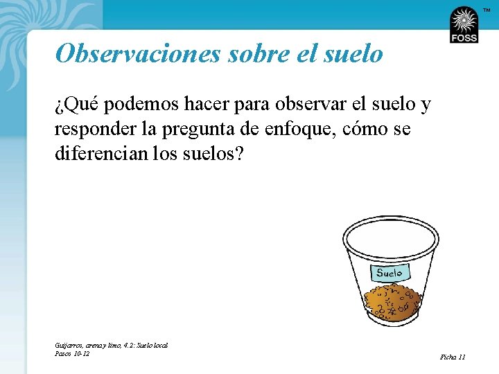 TM Observaciones sobre el suelo ¿Qué podemos hacer para observar el suelo y responder