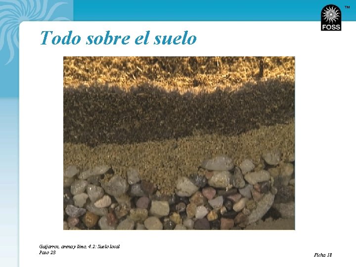 TM Todo sobre el suelo Guijarros, arena y limo, 4. 2: Suelo local Paso