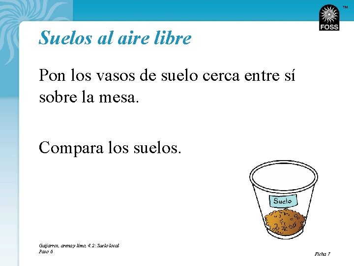 TM Suelos al aire libre Pon los vasos de suelo cerca entre sí sobre