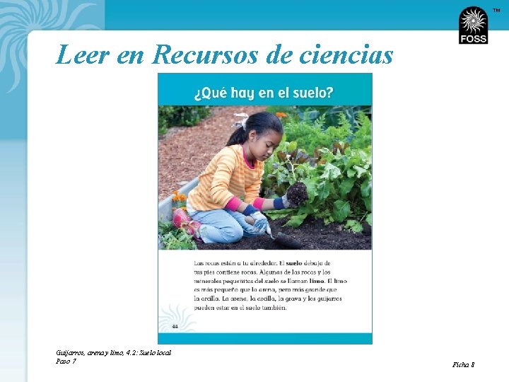 TM Leer en Recursos de ciencias Guijarros, arena y limo, 4. 2: Suelo local