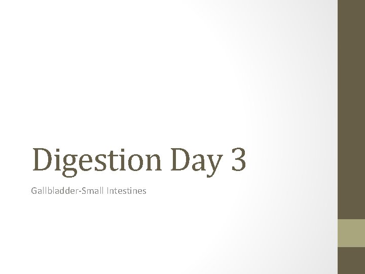 Digestion Day 3 Gallbladder-Small Intestines 